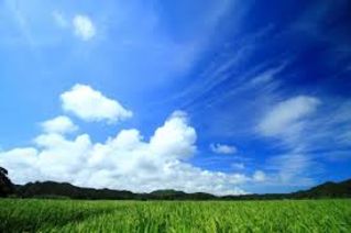 進化し続ける時代の流れに乗り遅れるな!